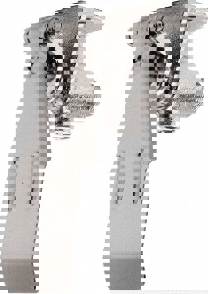 Faucet Replacement Valve